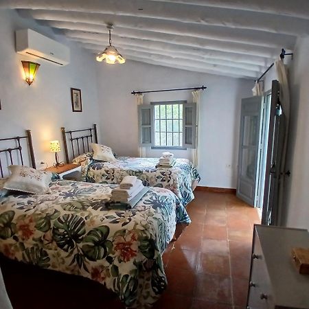Cortijo Tipico Andaluz En La Sierra Cerca De Frigiliana De Nerja Y De Las Playas Kültér fotó