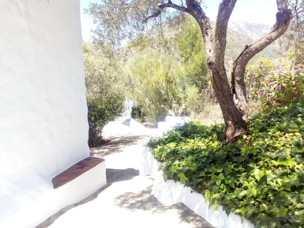 Cortijo Tipico Andaluz En La Sierra Cerca De Frigiliana De Nerja Y De Las Playas Kültér fotó